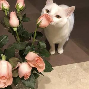 男人插女人视频超爽超污
