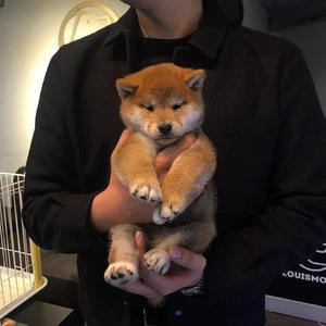 男人插女人视频超爽超污
