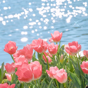 男人插女人视频超爽超污
